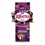 Ribena Blackcurrant Carton 24 x 250ml